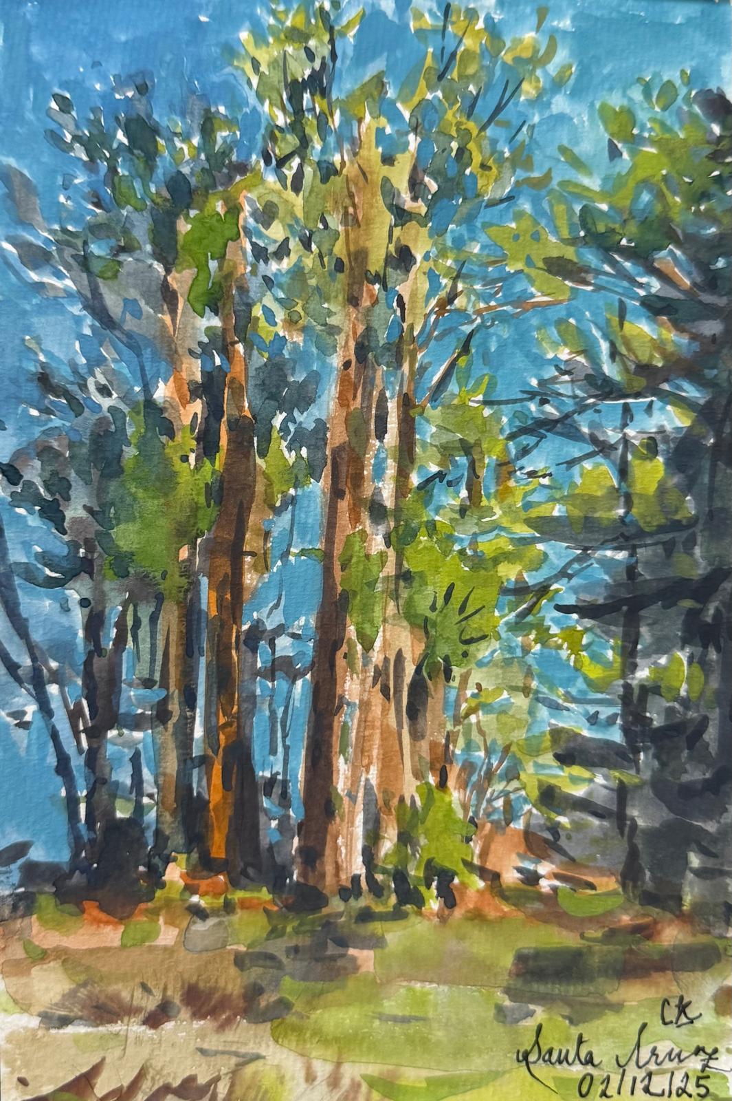 Santa Cruz, California